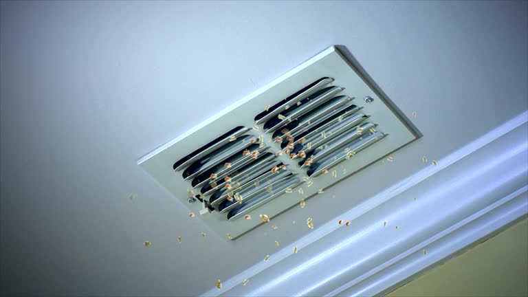 Best HVAC Duct Inspection Services  in Pendergrass, GA