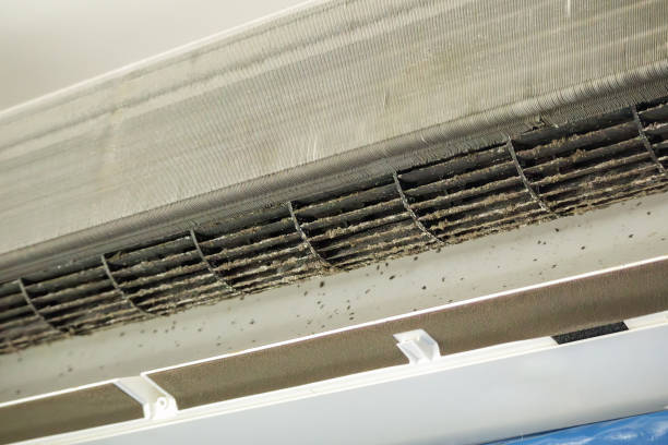 Best Air Vent Cleaning Services  in Pendergrass, GA